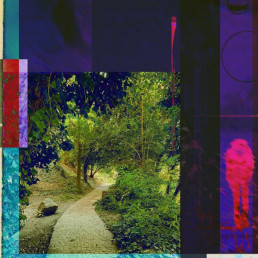 Prismic Delight - Morning Poison