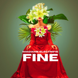 Madame Electrifie - Fine