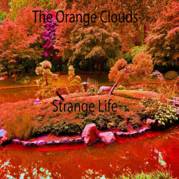 The Orange Clouds - Strange Life